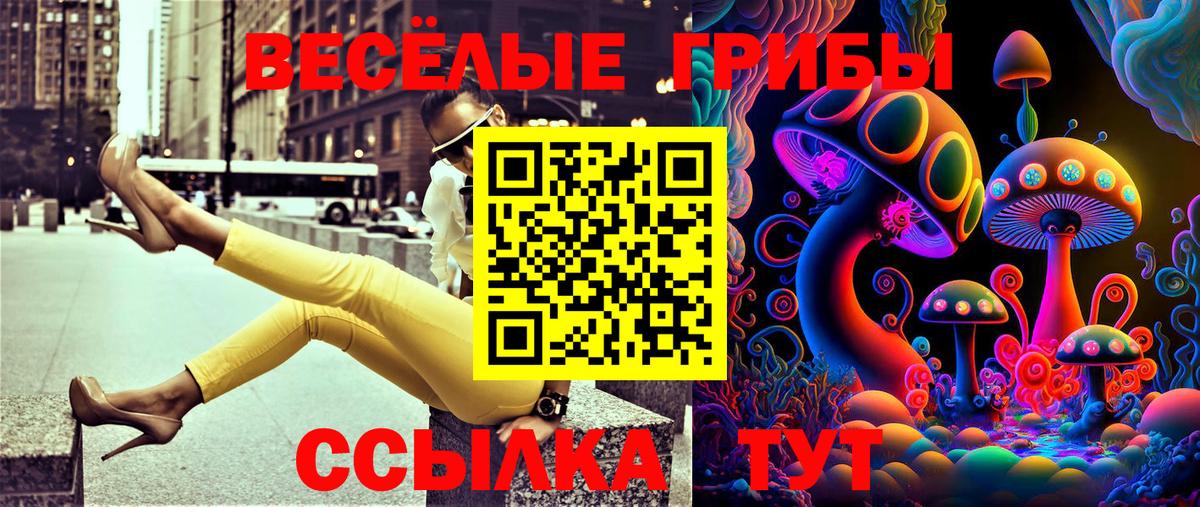Псилоцибиновые грибы Magic Shrooms Севастополь